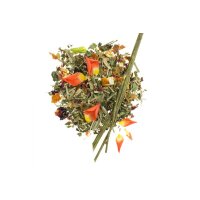 GLOREX Pot-pourri agrumes 3g 61601103 jaune