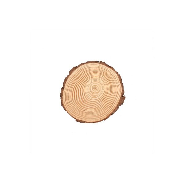 GLOREX Rondelle en bois 15x1.5cm 67026751
