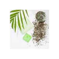 GLOREX Plantain lancéolé 4g 61601106 vert