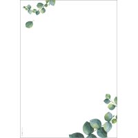 sigel Papier design Eucalyptus, A4, 90 mm g/m2, 2 colonnes