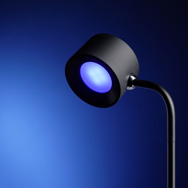 APS Pince de table avec bras flexible VALUMO, noir