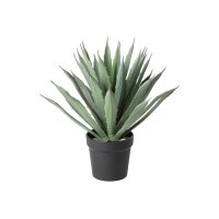 EGLO Plante artificielle 36.5cm 428351 vert, en pot