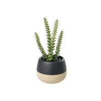 EGLO Plante artificielle 20cm 428494 vert, en pot