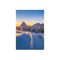 CALENDARIA Agenda Photo-Almanach 2026 9783036205120 1W/1S ML A5