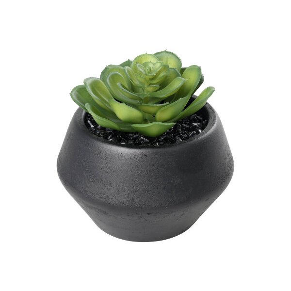 EGLO Kunstpflanze 11cm 428492 grün, im Topf