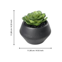 EGLO Kunstpflanze 11cm 428492 grün, im Topf