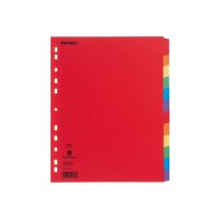 NOVOOO Kartonregister A4+ 40642 intensiv 12-teilig