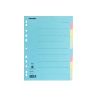 NOVOOO Kartonregister A4 40579 bunt 10-teilig