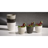 APS Schale LINEO, 180 ml, braun, 6er Set