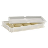 APS Récipient à pâte & boules de...