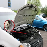 IWH Marderabwehr, 12V, mit Ultraschall & Licht