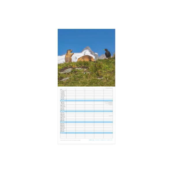 ALPHA EDITION Familienplaner 2027 161702 Beste Freunde ML 30x30cm