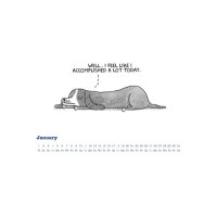 ALPHA EDITION Bildkalender 2026 160927 Cats Life &...