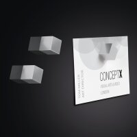 sigel Aimant néodyme cube Strong C5, set de 5, argent