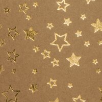 HEYDA Bastelkarton-Block "Weihnachtssterne",...