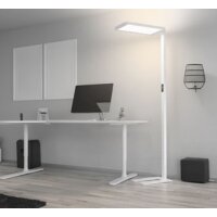 Hansa Lampadaire LED Capella, hauteur: 2.020 mm, blanc