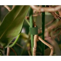 Bradas Klett-Bindeband, 25 mm x 5 m, grün