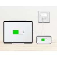 LogiLink Chargeur secteur USB, 1x USB-A, 1x USB-C, 65 W