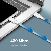 LogiLink Câble USB 2.0, USB-C - USB-C, 1,0 m, blanc