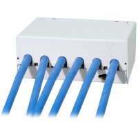 LogiLink Panneau de brassage cat.6A, 6 ports, gris clair