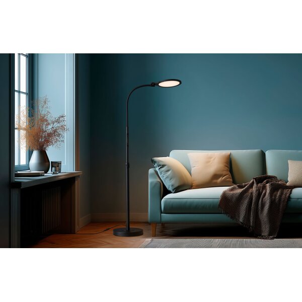 Hansa Lampadaire / Lampe de lecture LED ATRIA, noir mat