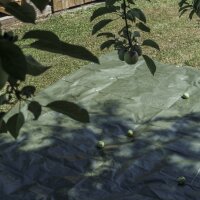 AGRIplus Bâche toile avec oeillets, 8 x 10 m, 250 g/m2, vert