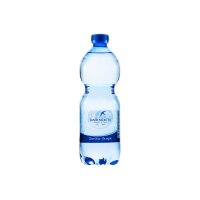 SAN BENEDETTO gazéifié 9088 50 cl, 24 pcs.