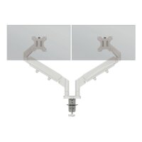 LEITZ Monitorarm Ergo 6537-00-85 Grau, dual