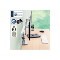 LEITZ Monitorarm Ergo 6537-00-85 Grau, dual
