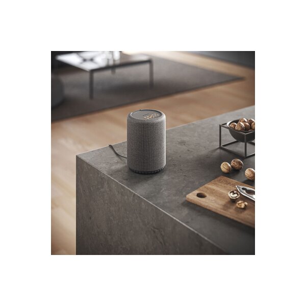 AUDIO PRO Speaker A10 MkII W 15380 Dark Grey