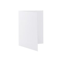 ARTOZ Cartes 1001 A6 19232226-211 216g, birch 5 feuilles