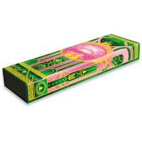 PAPERBLANKS Stifteetui Wicked PAD6443 Die Magie von Wicked