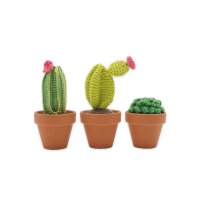 HARDICRAFT Kit de crochet HC-40MB013 Cactus