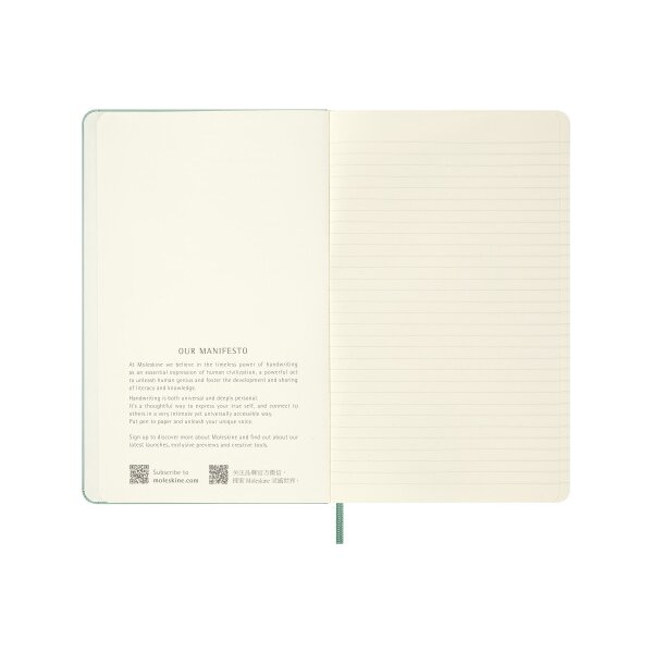 MOLESKINE Carnet Classic L/A5 8056999279080 ligné, vert sauge