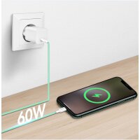 LogiLink Câble USB 2.0, USB-C - USB-C, 0,5 m, vert