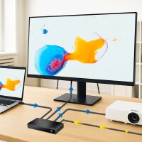 LogiLink Répartiteur HDMI 4K/60 Hz, Downscaler, 2...