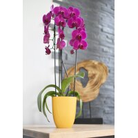 EDA Übertopf IRIS, Durchmesser: 125 mm, jeansblau