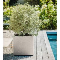 EDA Pflanzgefäss VOLCANIA, quadratisch, 495 mm, beige