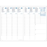 QUO VADIS Agenda PLANNING 21 SD, 2026 2027, 16 mois,noisette