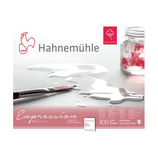HAHNEMÜHLE Aquarellbl. Expression 40x50cm 10628668 weiss, 300g 20 Blatt