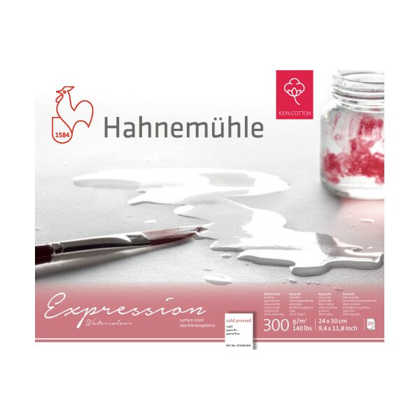 HAHNEMÜHLE Waterco.pad Expression 24x30cm 10628666 blanc, 300g 20 feuilles