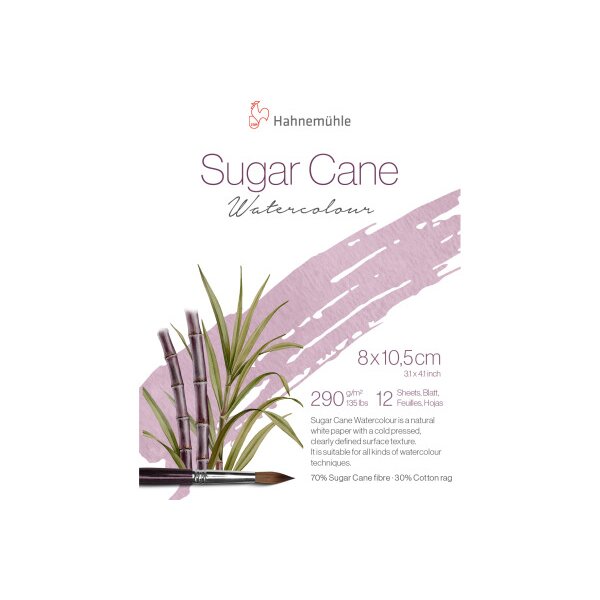 HAHNEMÜHLE Waterco.pad SugarCane 8x10.5cm 10625420 blanc, 290g 12 feuilles