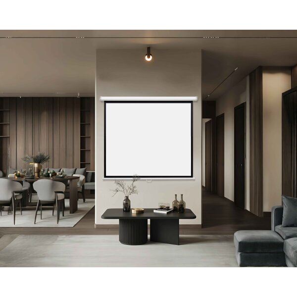 magnetoplan Rollo-Leinwand, (B)2.000 x (H)2.000 mm, 1:1