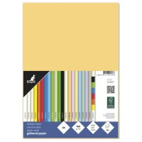 kangaro Papier multifonction, A4, 160 g/m2, blanc