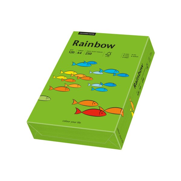 RAINBOW Papier intensivgrün/78 A4 88042678 FSC, 120g 250 Blatt