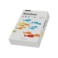 RAINBOW Papier grau/96 A3 88042811 FSC, 120g 250 Blatt