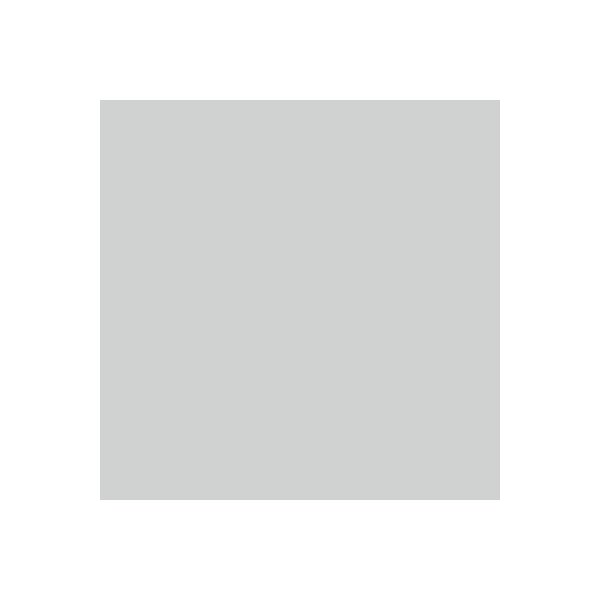 RAINBOW Papier grau/96 A3 88042808 FSC, 80g 500 Blatt