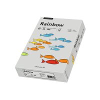 RAINBOW Papier grau/96 A3 88042808 FSC, 80g 500 Blatt