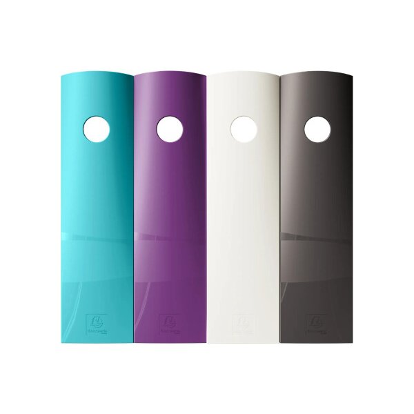 EXACOMPTA Porte-revues Titan A4+ 182101SETD Mag Cube assorti