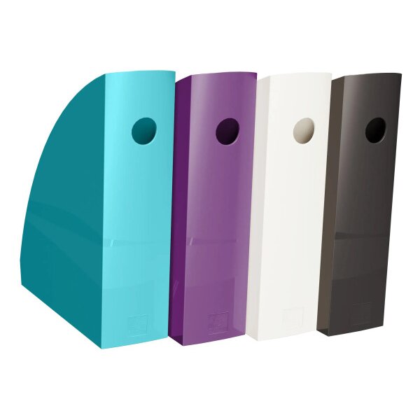 EXACOMPTA Porte-revues Titan A4+ 182101SETD Mag Cube assorti